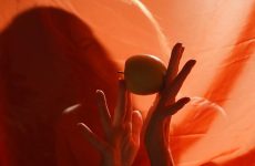 Почему чужие стратегии не работают у вас: причина внутри, а не извне